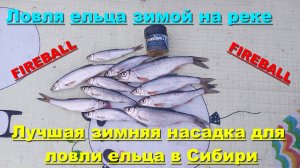 Лучшая зимняя насадка для ловли ельца в Сибири. Ловля ельца зимой на реке.