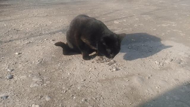 VID_20250310_161209