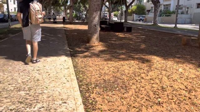 Одна из улиц Тель-Авива, прогулка по городу, шум города =) смотреть онлайн