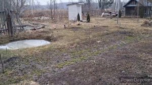 В деревню на дачу...