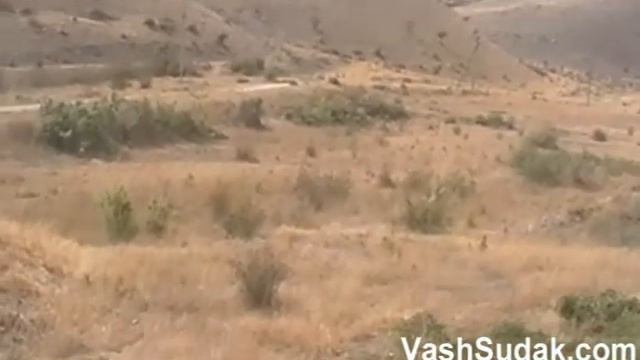 Разпродажа участков земли в Судаке На Бугазе смотреть онлайн