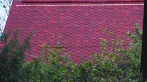 Отзыв на мягкую кровлю RUFLEX