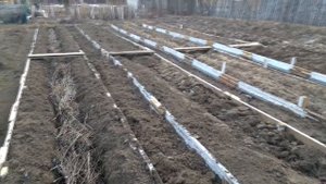 Тёплая грядка Розума. Строительство.