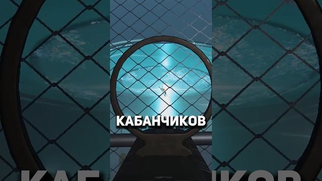 Пасхалки №4  #warface #варфейс #дрымский