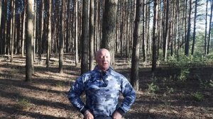 Последний год мёртвого мира