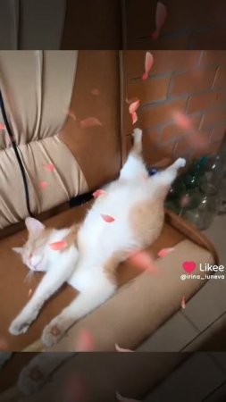 Отдыхаю как могу 🤣.