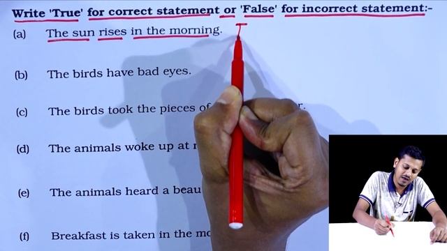PEC English || Seen Passage || Unit 25 || Stay Safe! || Class 5 English || Five