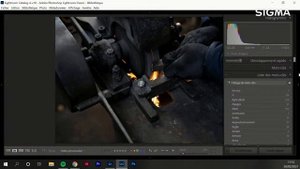 Pourquoi j'ai adoré travailler avec le 28-70mm F2.8 DG DN | Contemporary, avec Robin Jafflin