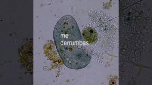 Химия