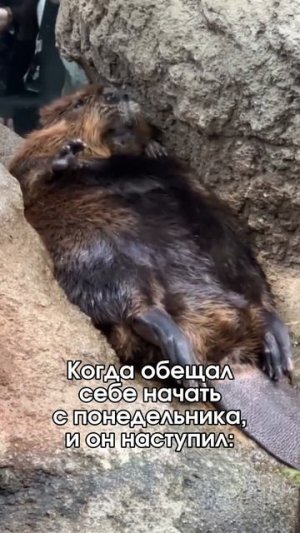 Этот понедельник проверяет нас на прочность погодными условиями!