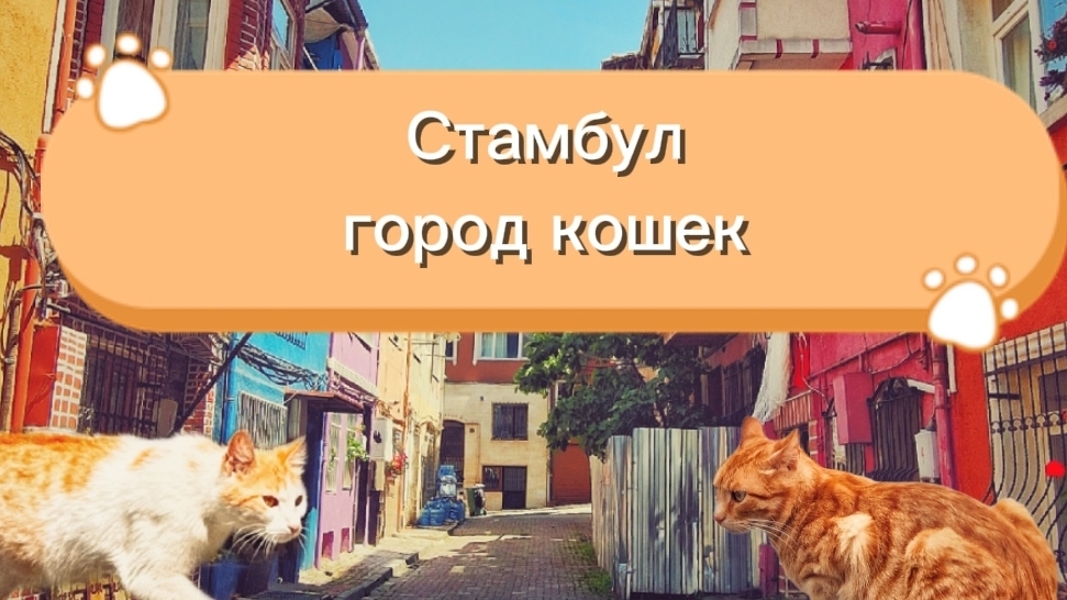 Стамбул,  цветная улица