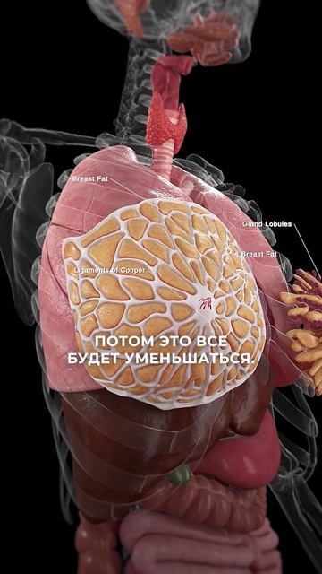 Пластическая операция груди перед родами 😦🫢