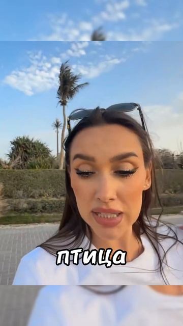 Лакшери Герл про секреты заработка #юмор #прикол смотреть онлайн