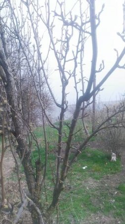 VID_20250317_124303