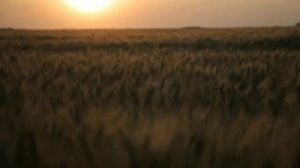 Ильгиз Мухутдинов - "Ак калфак"