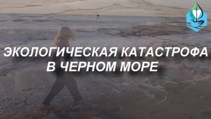 ЭКОЛОГИЧЕСКАЯ КАТАСТРОФА В ЧЕРНОМ МОРЕ!