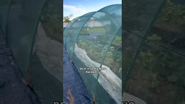 Как организовать питомник растений #питомникрастений смотреть онлайн