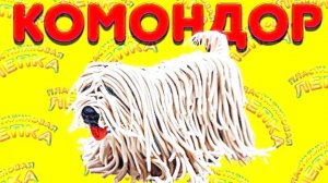 КОМОНДОР Как Слепить из Пластилина