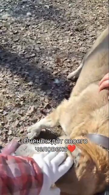 Из чудовища стал красавчиком ❤