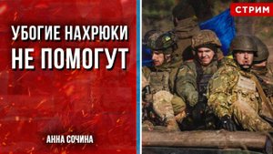 Убогие нахрюки не помогут [Анна Сочина. СТРИМ]