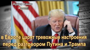 Европа «дрожит» в преддверии разговора Путина и Трампа
