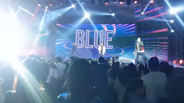 All Rise - Blue at Playback Music Festival смотреть онлайн