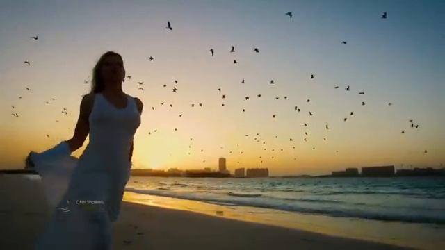 ALLURA - Chris Spheeris