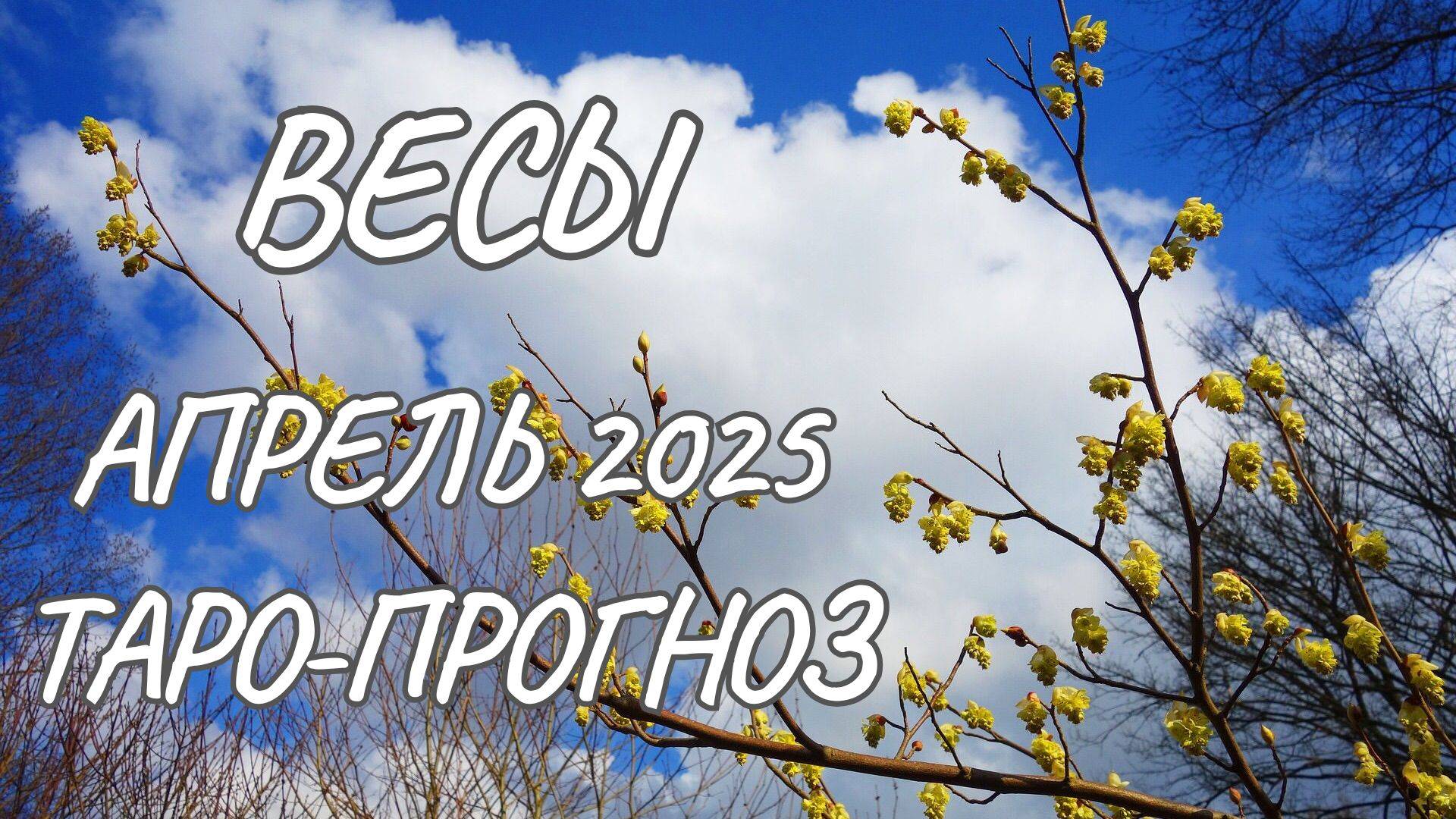 Весы ♎ Таро-прогноз на апрель 2025 года