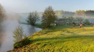 день поэзии