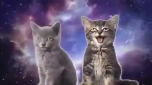 (Казакша ан) маргаулар смотреть онлайн