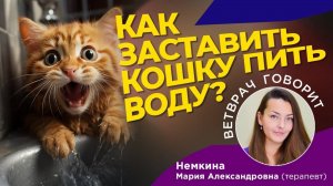 Как заставить кошку пить воду