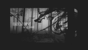 Black Sun Empire - From The Shadows (Continuous Mix)