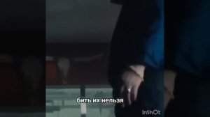 золотые слова