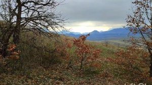 крымская весна