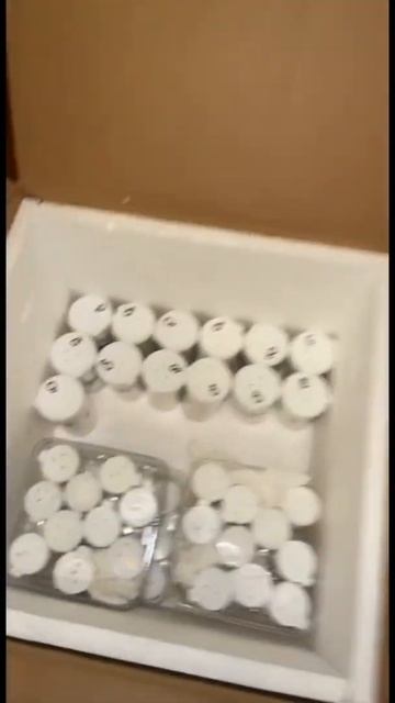 HUGE Tarantula Import Unboxing - NukaMedia Exotics USA смотреть онлайн