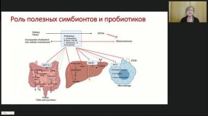 Вебинар "Роль холестерина в патогенезе МАЖБП"