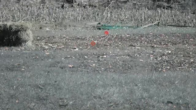 01.05.2019 ПСК Северянин. Площадка 1, мишень B (заяц). Промах сзади смотреть онлайн