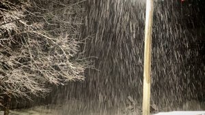 Снегопад весной в деревне, снег хлопьями в середине марта, жизнь в деревне, деревенские будни, снег