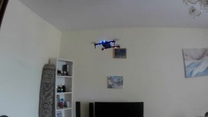 играю в бро форс