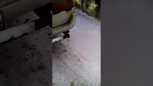 Тойота хайс 1кз запуск двигателя - 15 на летнем дизтопливе.