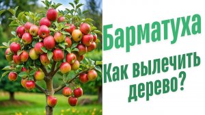 Как можно помочь деревьям?
