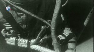 Видео для озвучивания