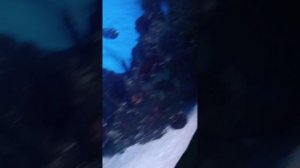 video_20250316_171755.mp4