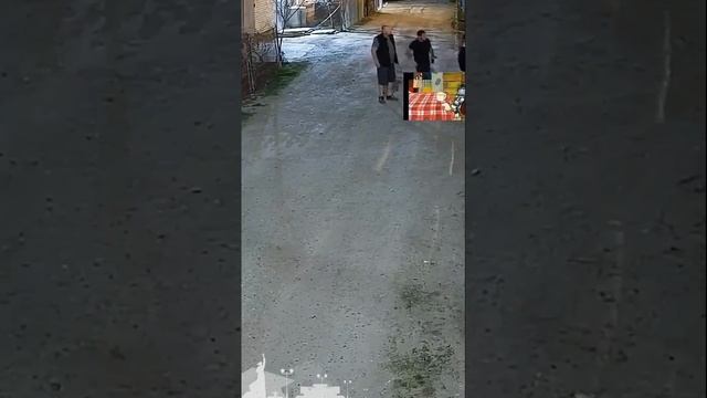 Весна.. Поселок Знаменский, СНТ «Чайка», Краснодарский край.