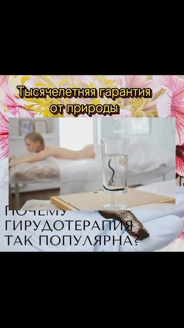 Гирудотерапия в КВАТРО МЕД, СОЧИ