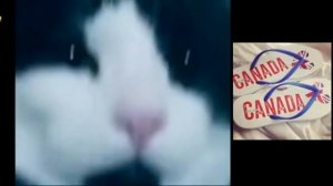 Mr Incredible Becoming Idiot Extended 78 Phases - Stupid Designs