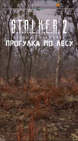 S.T.A.L.K.E.R 2 КАК СДЕЛАН ЛЕС В ИГРЕ