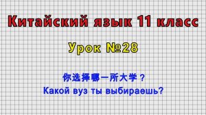 Китайский язык 11 класс (Урок№28 - 你选择哪一所大学？ Какой вуз ты выбираешь?)