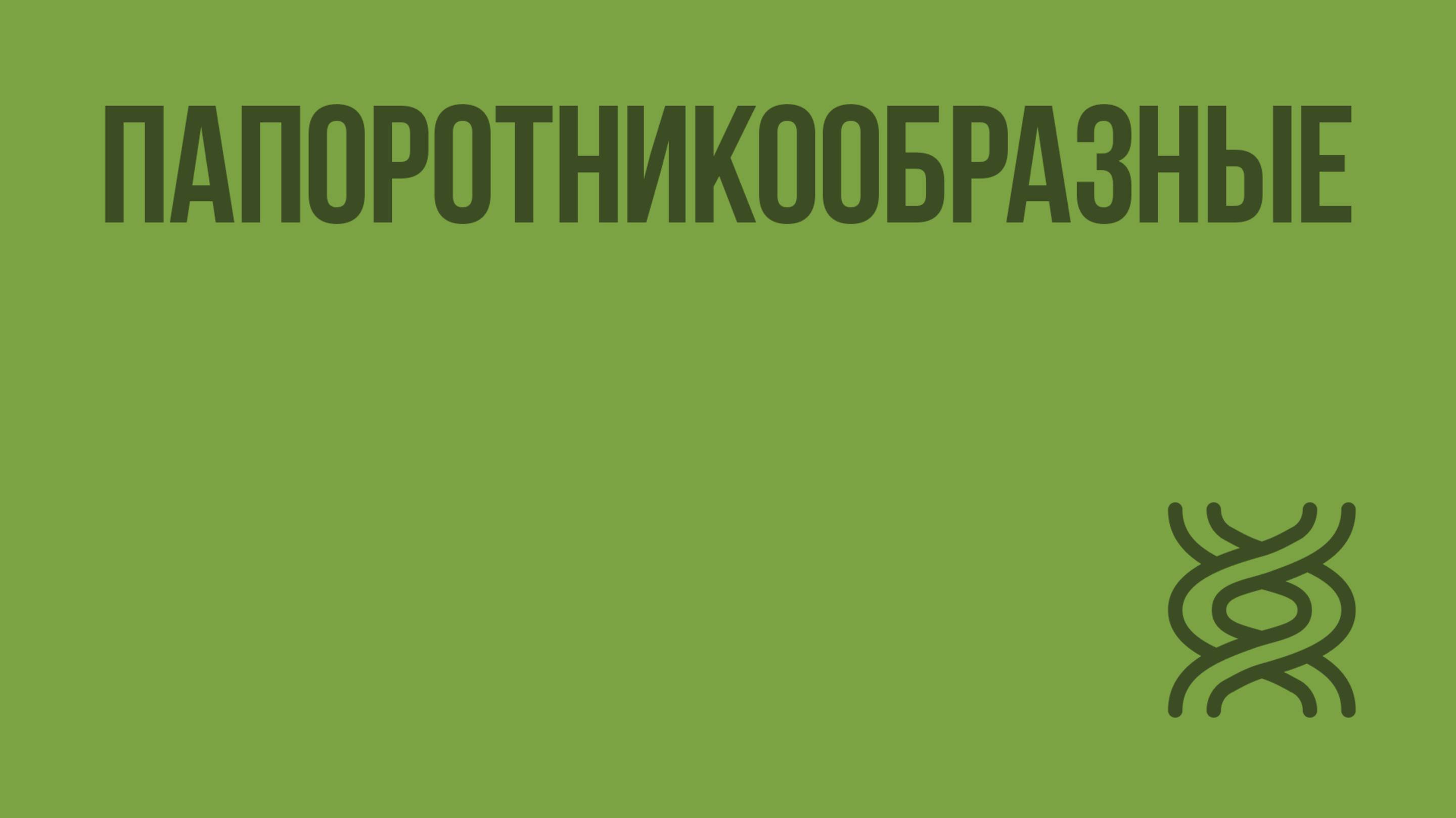 Папоротникообразные. Видеоурок по биологии 5 класс