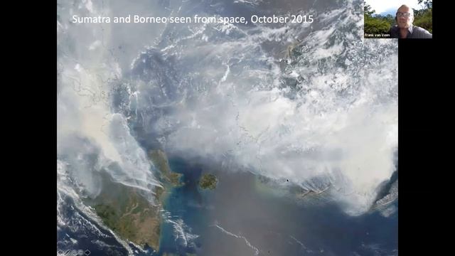 Summer Sessions - Frank's Forest Webinar смотреть онлайн